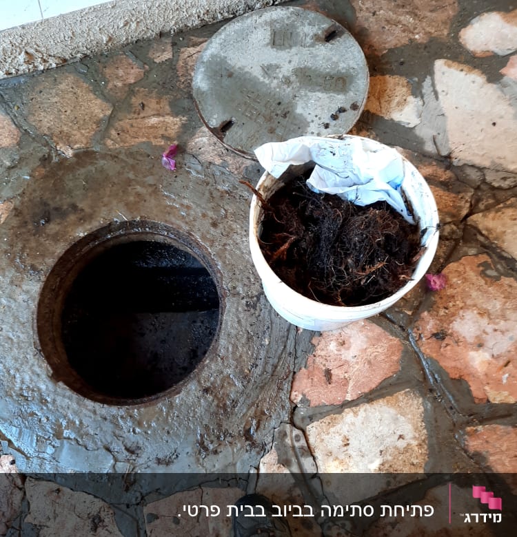 פתח ביוב פתוח ודלי עם שורשים